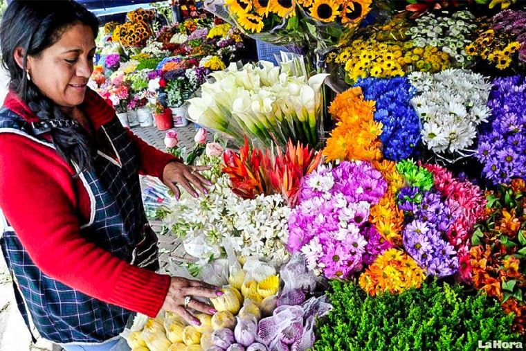 Fortalecerse y avanzar, la Cadena de flores del Perú