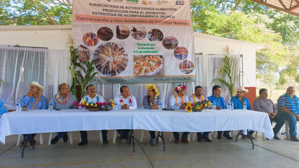 En colaboración con la Secretaría de Agricultura y Desarrollo Rural, SNICS, INIFAP, COLPOS e instituciones locales, se inauguró el Banco Regional de Semillas Nativas en la zona de las Huastecas.
