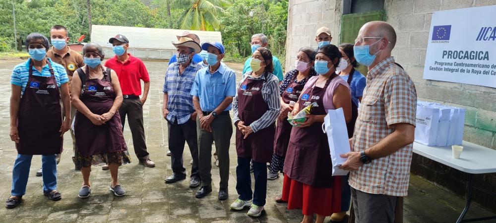 El PROCAGICA en El Salvador ha contribuido al fortalecimiento de la resiliencia de los pequeños productores de café sobre la base de estrategias de gestión del riesgo y reducción de la vulnerabilidad