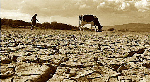 La sequía afecta el corredor seco provocando importante pérdidas.