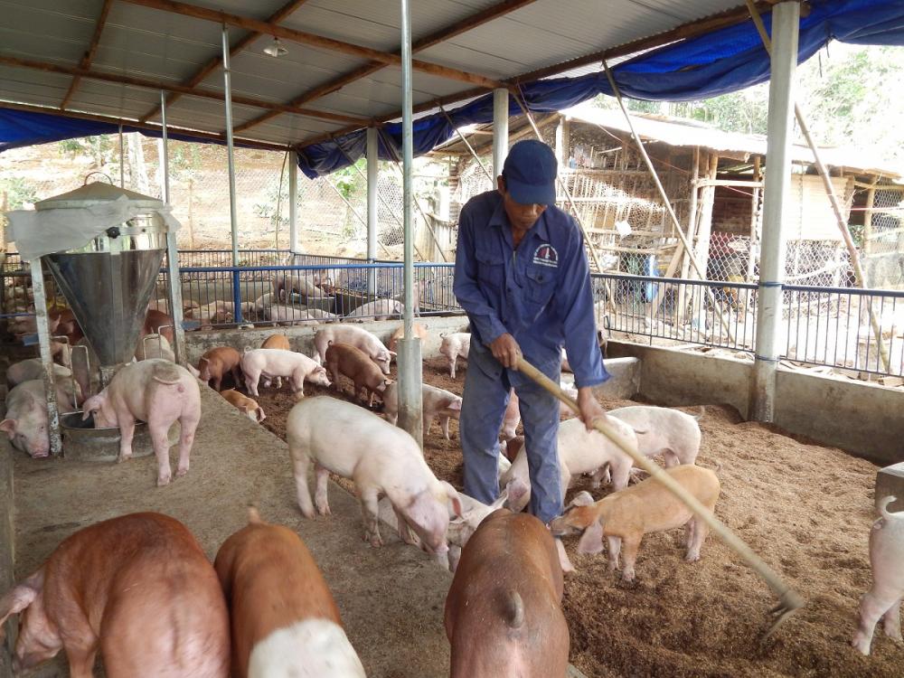 El consumo de carne de cerdo se redujo un 40 % en México