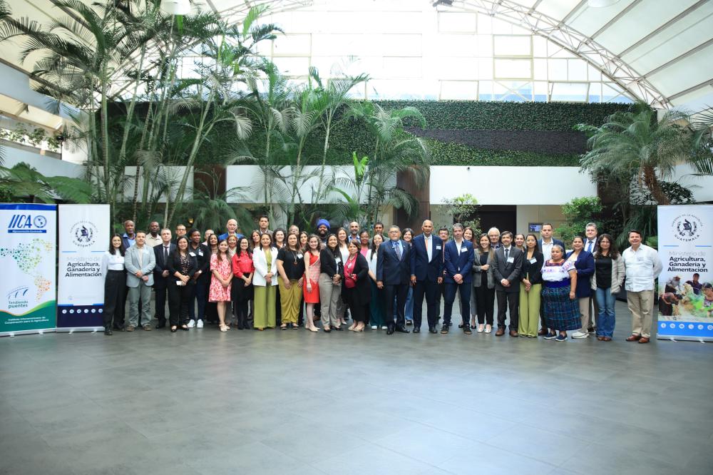 Los participantes comparten experiencias exitosas exitosas que han promovido la acción climática en el sector agropecuario.