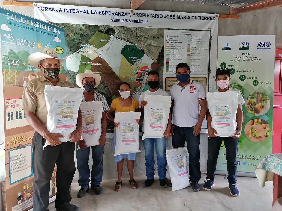 Entrega de grano de maíz en Camotán, Chiquimula, tomando medidas de prevención por covid-19 