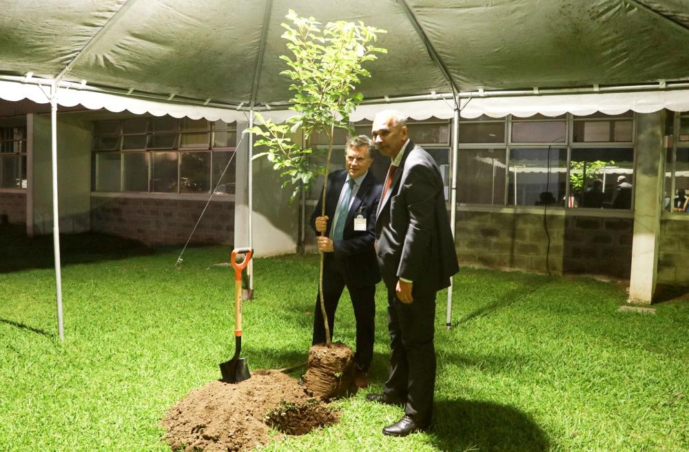 El homenaje concluyó con la plantación del árbol conmemorativo del 50 aniversario del CATIE, realizada por el Director General del IICA, Manuel Otero, y el del Centro Agronómico Tropical de Investigación y Enseñanza, Muhammad Ibrahim.