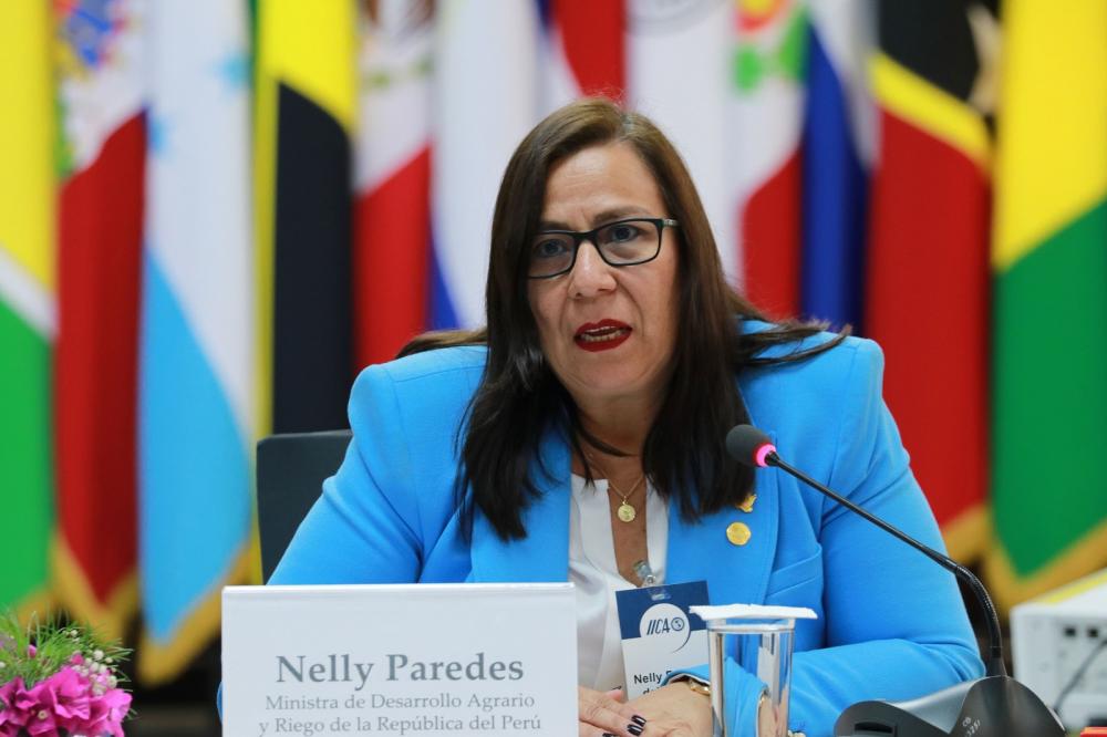 La Ministra de Desarrollo Agrario y Riego de Perú, Nelly Paredes del Castillo, expresó que la pandemia de Covid-19 puso en el centro de la agenda mundial la importancia de los cuidados en la vida en sociedad, lo que debe impulsar una ola de marcos regulatorios en favor de esta actividad.