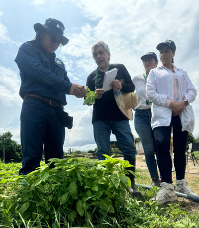 Colombia fortalece su papel como proveedor clave de productos agrícolas frescos a los estados unidos.