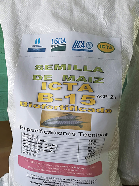 Semilla de Maíz ICTA B15 Biofortíficado