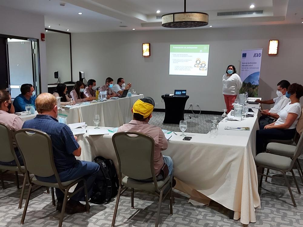 Primer taller nacional participativo del Comité Técnico Agroforestal para Costa Rica del proyecto AGRO-INNOVA.
