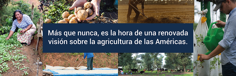Más que nunca, es la hora de una renovada visión sobre la agricultura de las Américas.