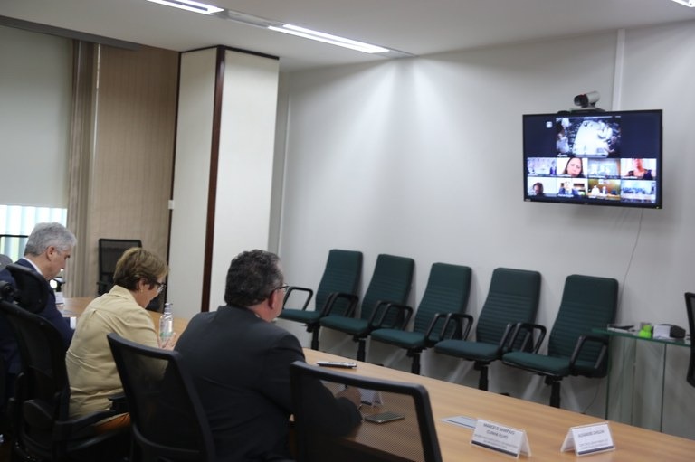 La reunión virtual fue realizada por iniciativa de la ministra de Agricultura, Ganadería y Abastecimiento de Brasil, Tereza Cristina (centro), quien estuvo acompañada por representantes de los ministerios de Infraestructura y de Relaciones Exteriores de su país.