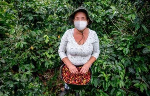 Os efeitos da pandemia afetam intensamente os agricultores familiares de América Latina e Caribe
