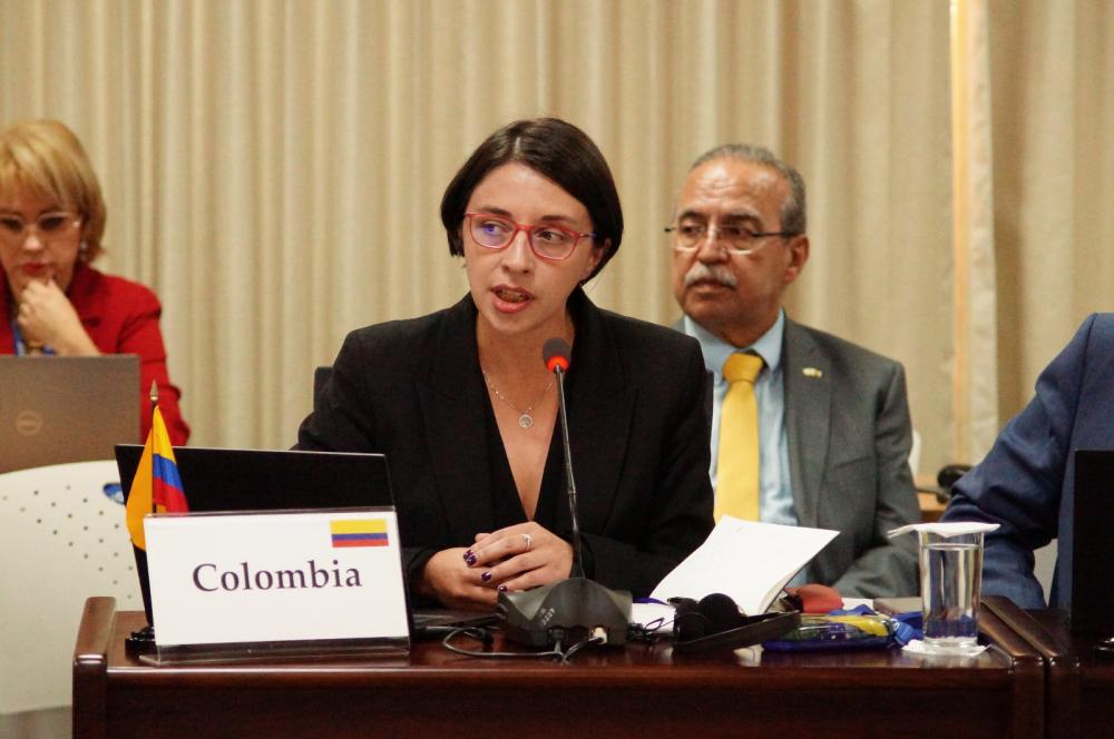 La ministra de Agricultura y Desarrollo Rural de Colombia, Martha Carvajalino, expresó en la reunión la intensión clara de su país de fortalecer la relación con el IICA, por el papel determinante que juega en el desarrollo agropecuaria y rural.