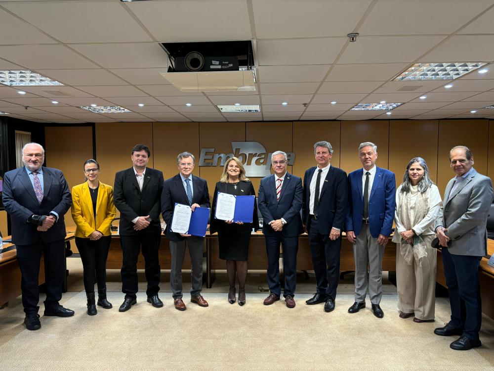 Foto tirada no evento mostra as equipes do IICA e Embrapa reunida