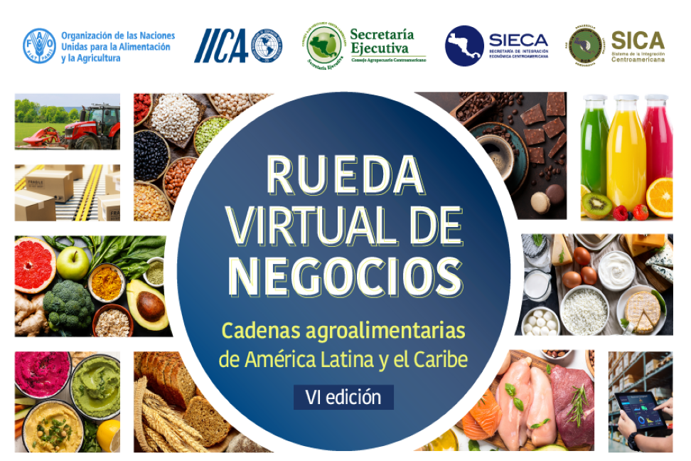 La rueda virtual de negocios se realizó a través de la plataforma de la Red Centroamericana de Comercio (REDCA) y fue organizada por la Secretaría de Integración Económica Centroamericana (SIECA), el Instituto Interamericano de Cooperación para la Agricultura (IICA), la Organización de las Naciones Unidas para la Alimentación y la Agricultura (FAO) y la Secretaría Ejecutiva del Consejo Agropecuario Centroamericano (SECAC).