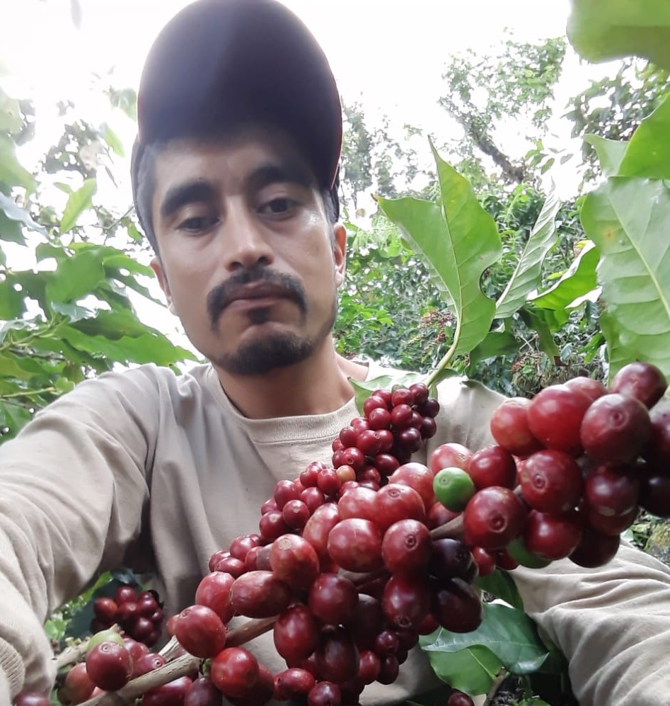 Eric López es uno de los pequeños caficultores destacados de San Antonio Huista, beneficiario del Programa PROCAGICA, que implementa el IICA junto a la Unión Europea para mejorar las condiciones de vida de la población rural en las zonas productoras de café de Centroamérica y República Dominicana.