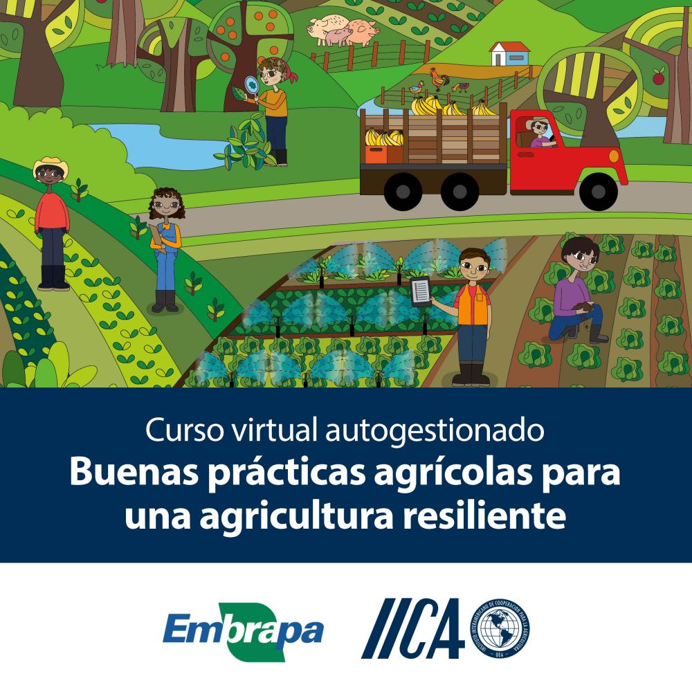 El curso es gratuito y se encuentra disponible en español e inglés en la plataforma e-learning del IICA. Dará inicio el próximo 23 de setiembre
