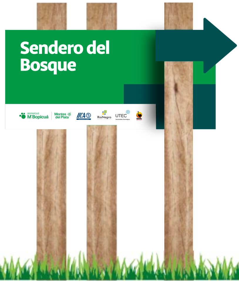 Sendero del bosque