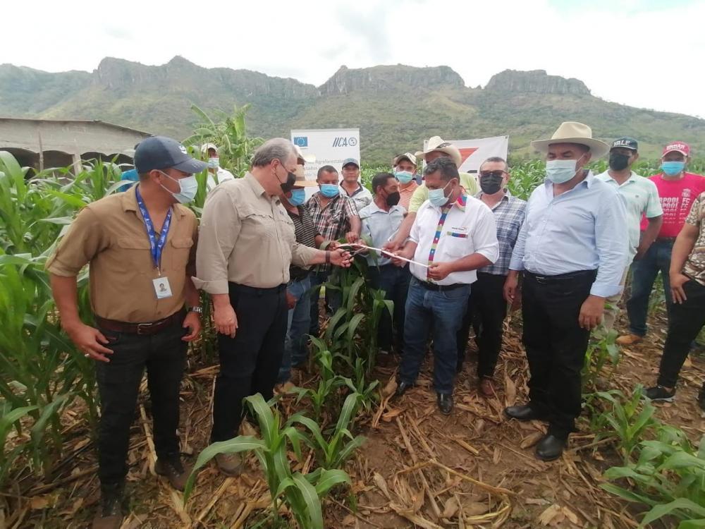Entrega de 24 sistemas de riego de bajo costo en las zonas rurales del departamento de El Paraíso, en Honduras.