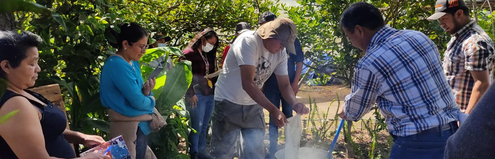 Estudiantes y productores de tomate del departamento de San Marcos, aprenden a elaborar bioinsumos