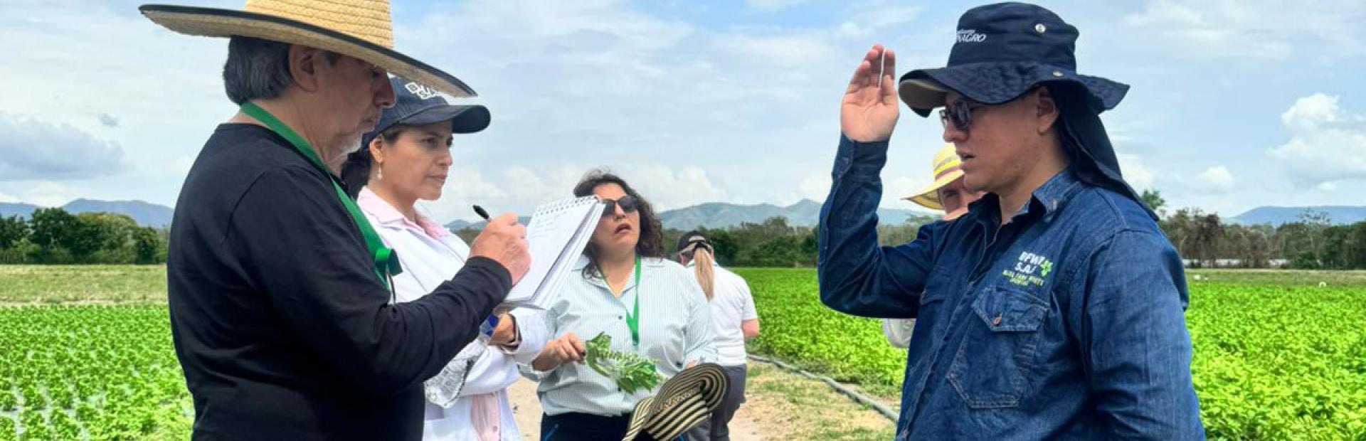 Colombia fortalece su papel como proveedor clave de productos agrícolas frescos a los estados unidos.