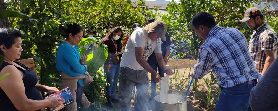 Estudiantes y productores de tomate del departamento de San Marcos, aprenden a elaborar bioinsumos