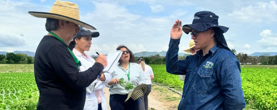 Colombia fortalece su papel como proveedor clave de productos agrícolas frescos a los estados unidos.