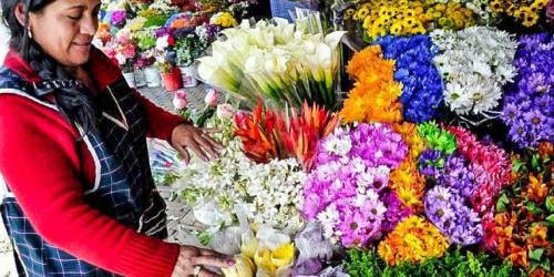 Fortalecerse y avanzar, la Cadena de flores del Perú