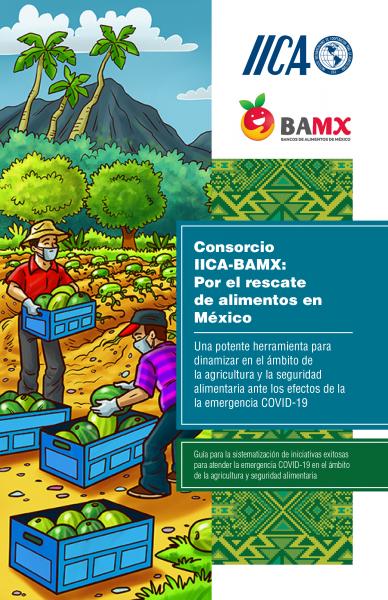 Consorcio IICA-BAMX: Por el rescate de alimentos en México