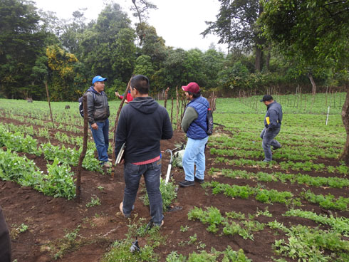 Intercambio de experiencias en campo