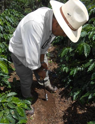 Muestreo del suelo en fincas de café