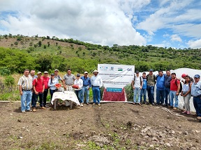 Agentes locales de la cadena de tomate del CRIA Oriente