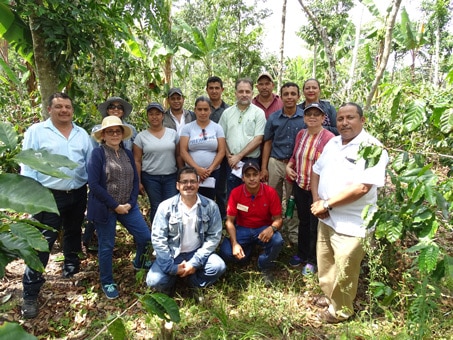 visita de campo