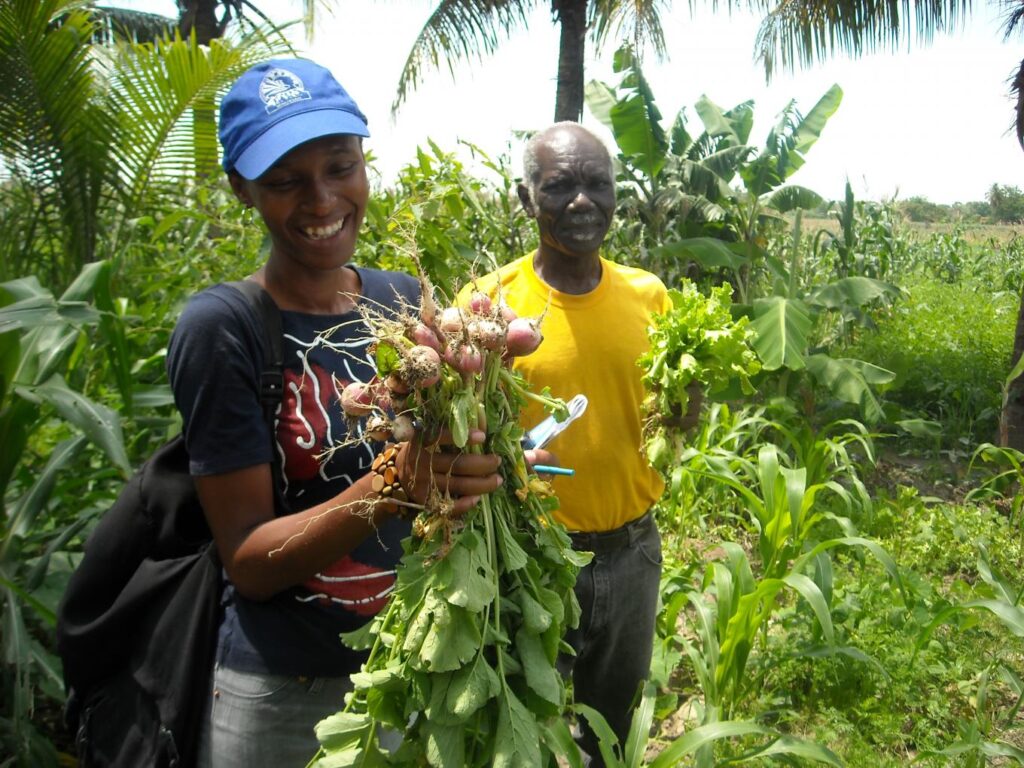 2_haiti