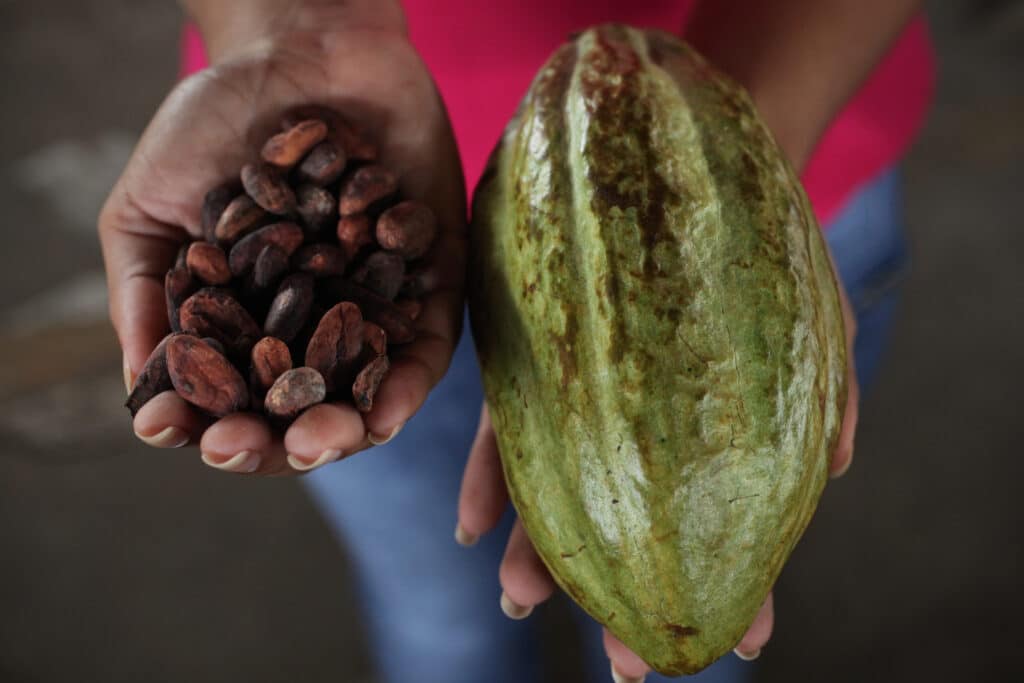 5_pequenos_productores_comercio_justo_y_mercados_locales