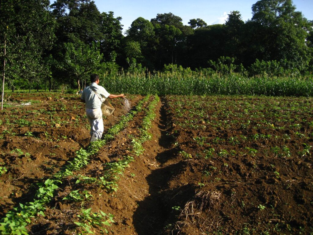 agricultor_abonando