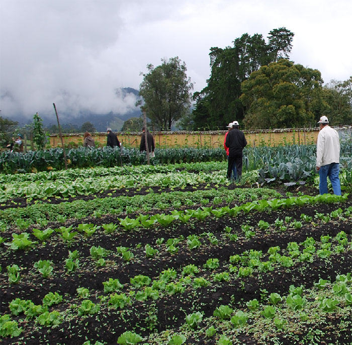 agricultura-familiar_colomb