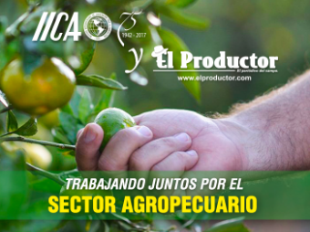 banner_ecuador_elproductorcom