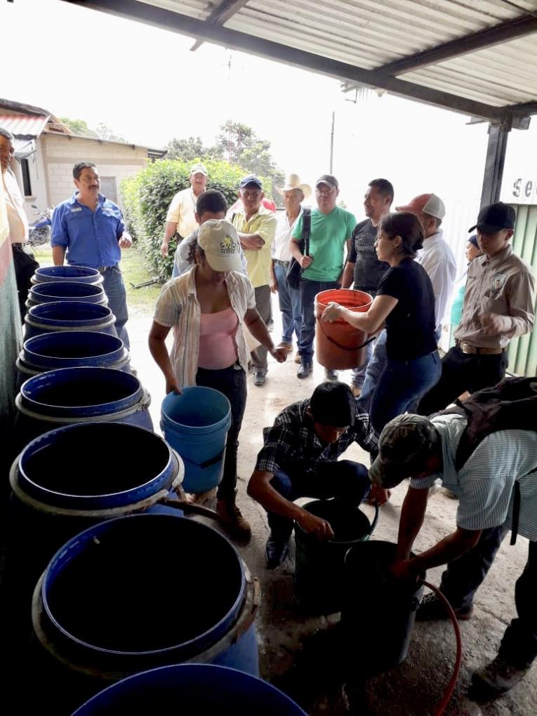 bioinsumos-honduras