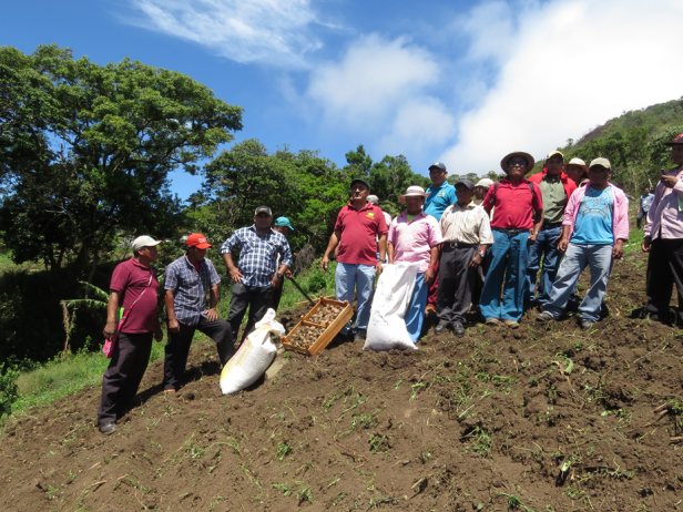 consorcio_papa_boletin_0