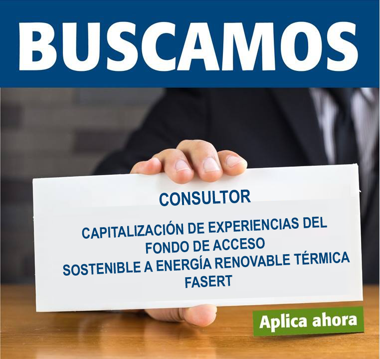 consultor_fasert_sistematizacion