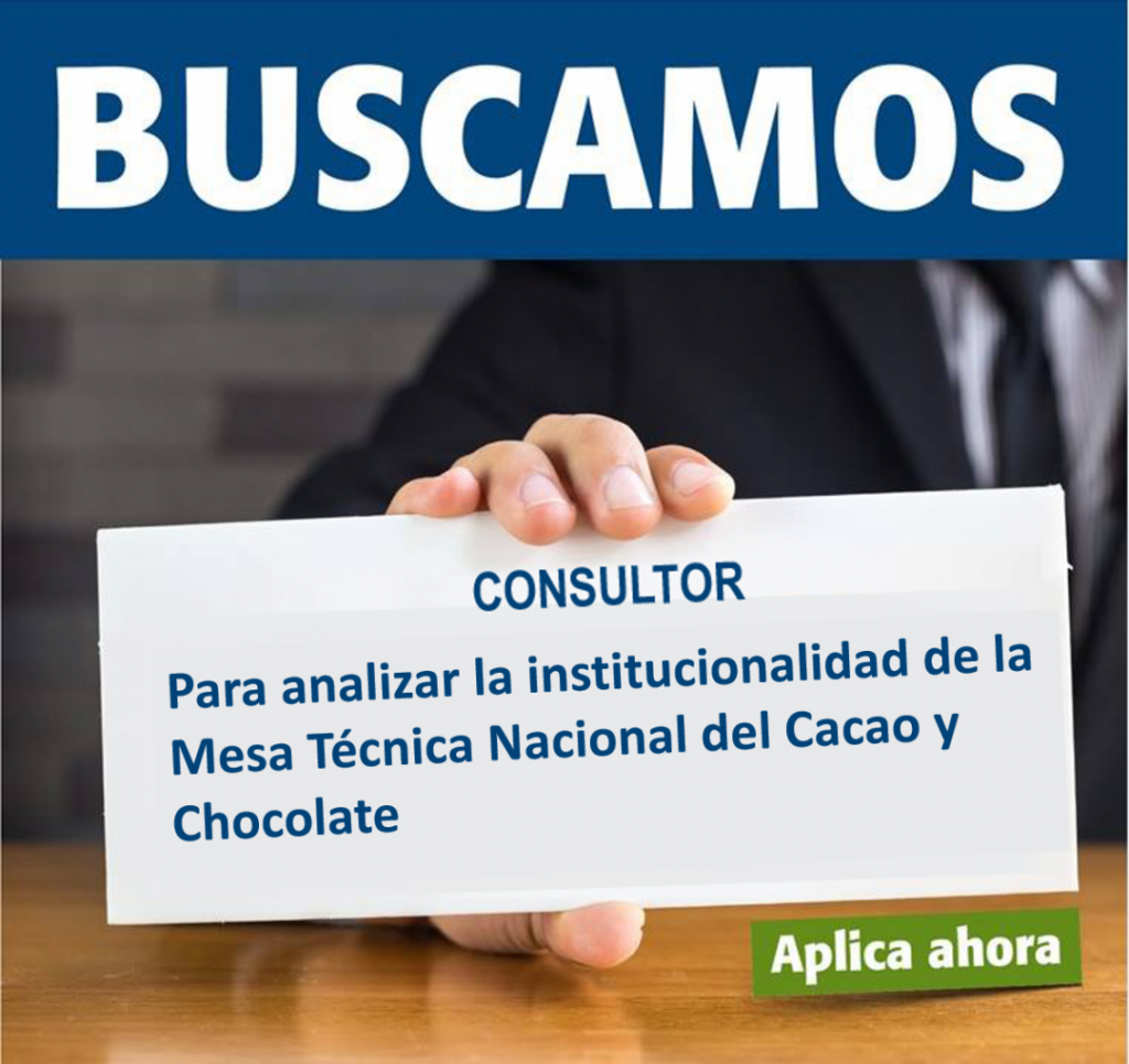 consultor_institucionalidad_mtcc