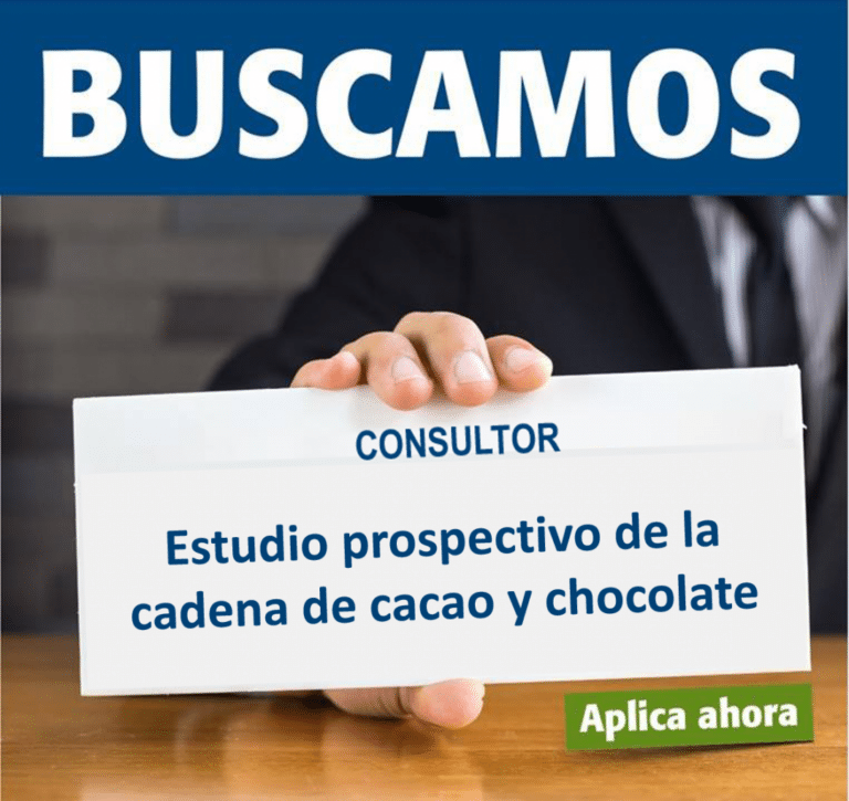 consultor_prospectiva_cadena_chocolate