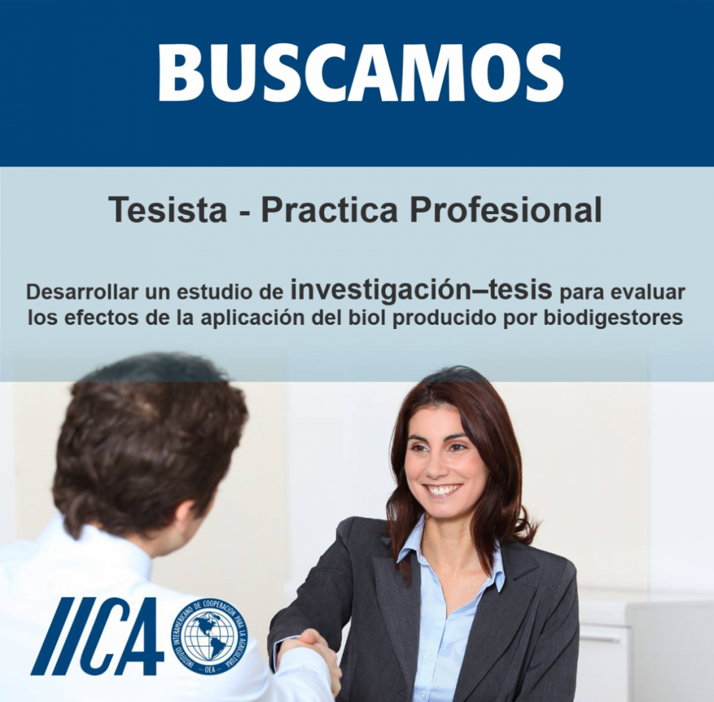 convocatoria-practica-porfesional-fasert-matucana