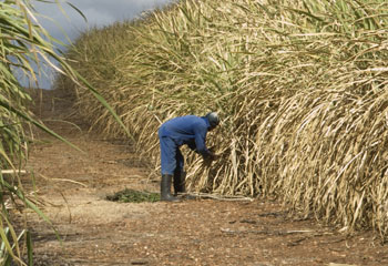 cp_94_taller_borradores_0