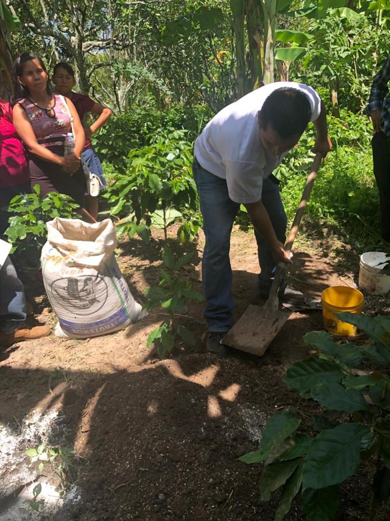 diademostraciones-cojutepe