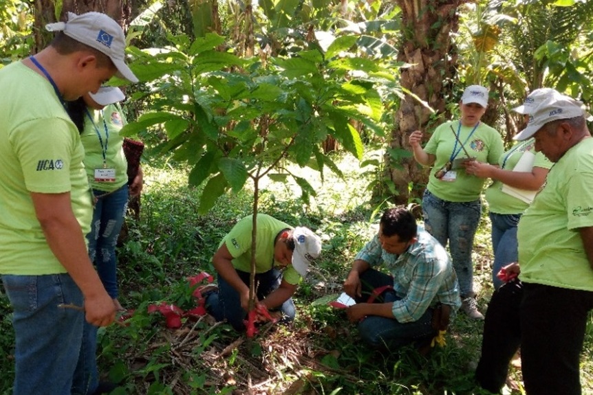 encuentro_cacao