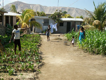 fida-haiti