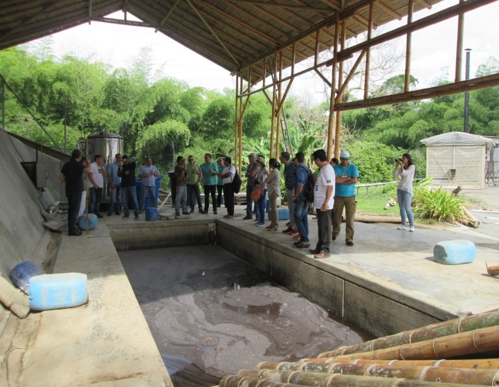 foto_delegacion_de_brasilenos_intercambia_conocimientos_sobre_el_desarrollo_de_la_cadena_del_bambu_en_colombia