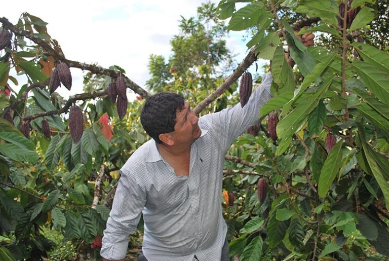 foto_foro_internacional_el_agro_y_el_postconflicto