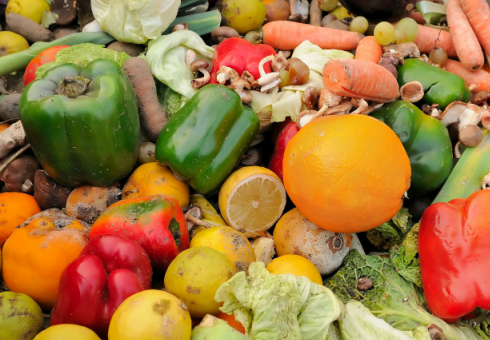 foto_noticia_perdida_alimentos